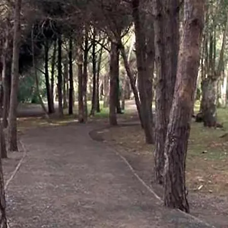 Marinella *